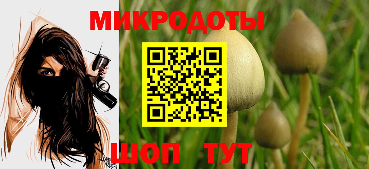 Псилоцибиновые грибы мухоморы  Вход с VPN  купить  сайты  Прохладный 